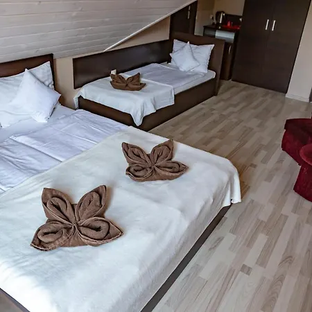 Séjour chez l'habitant I Victoria Wisła