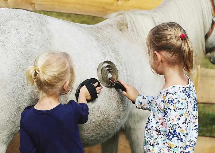 Homestay I Victoria Wisla